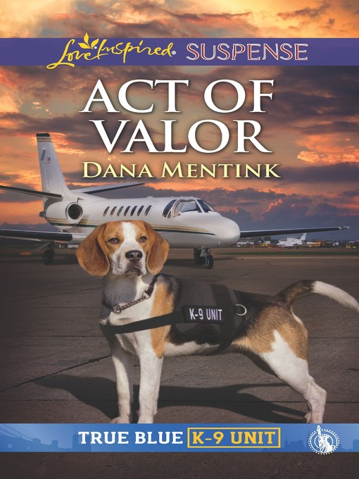 Title details for Act of Valor by Dana Mentink - Available